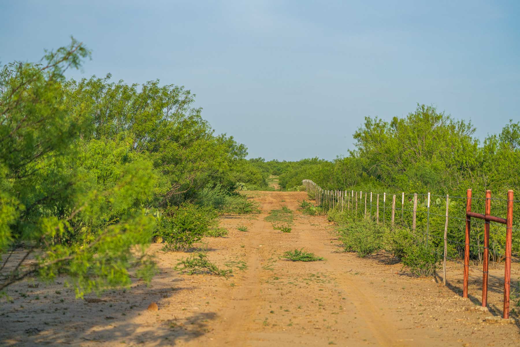 Dos Presas Ranch property picture 39 of 66