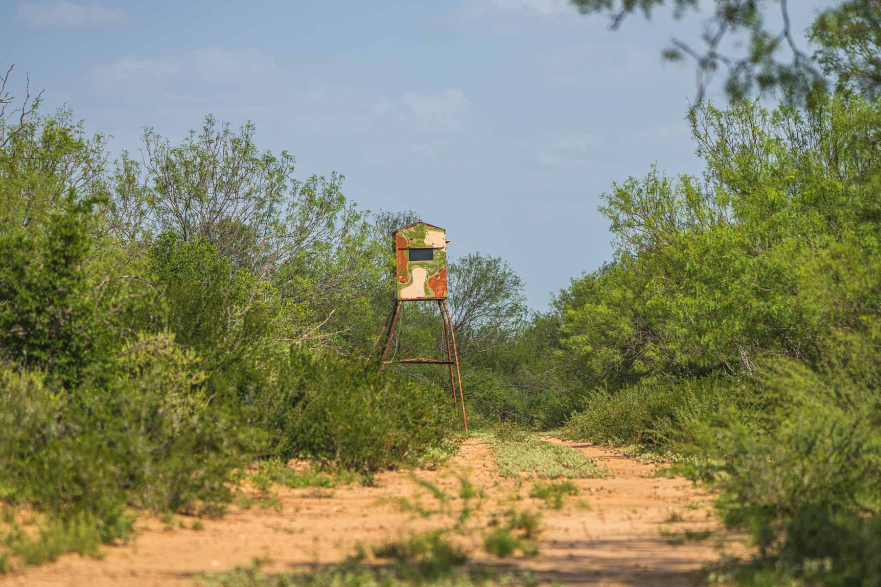 Dos Presas Ranch property picture 63 of 66