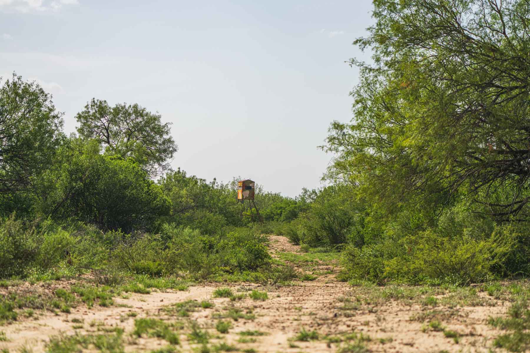 Dos Presas Ranch property picture 15 of 66
