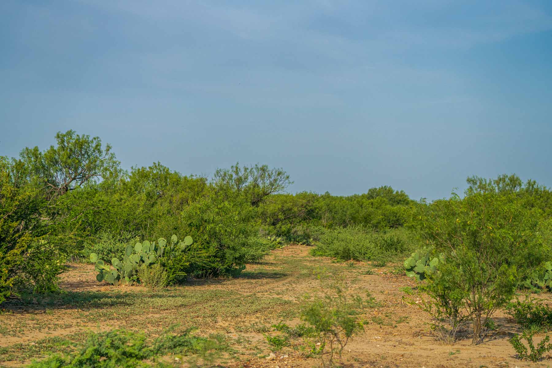 Dos Presas Ranch property picture 44 of 66