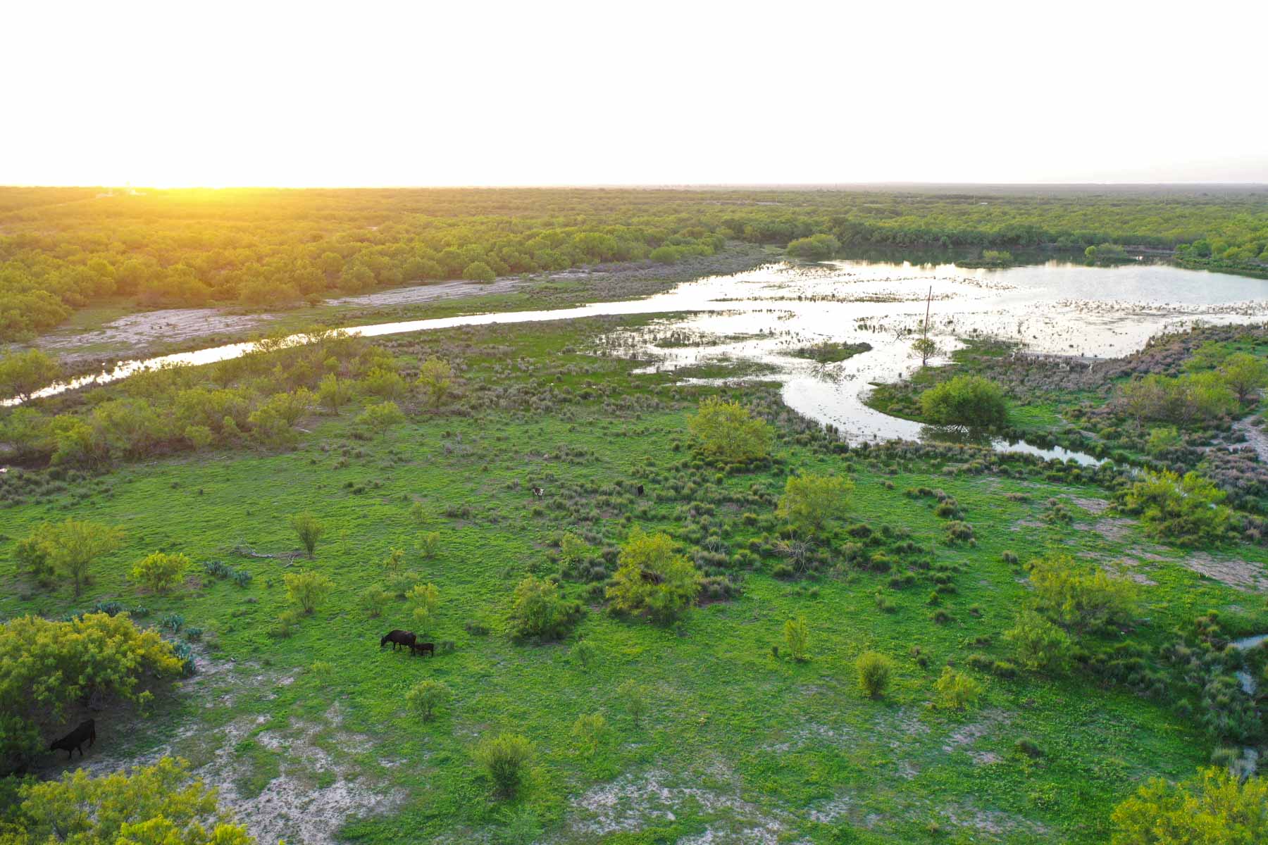 Dos Presas Ranch property picture 56 of 66
