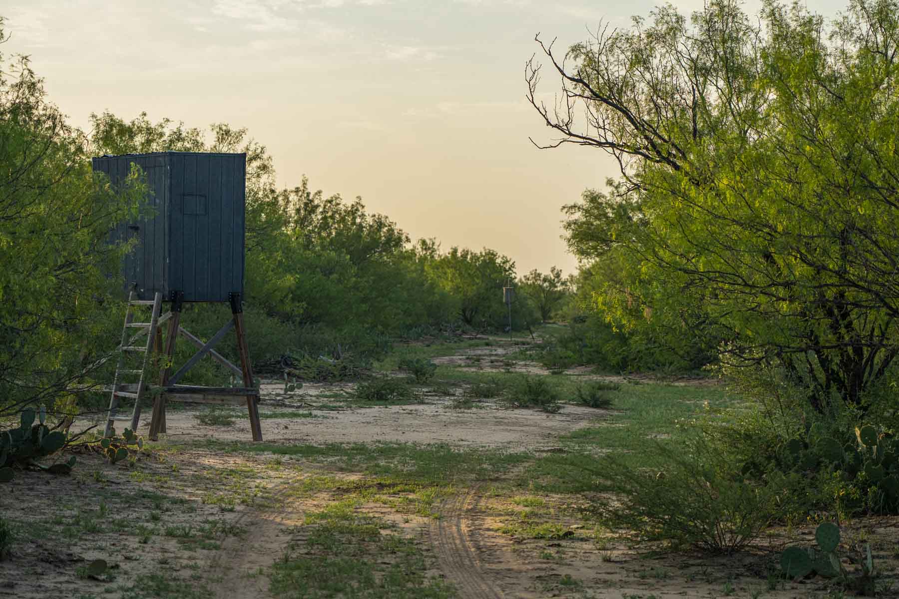Dos Presas Ranch property picture 36 of 66