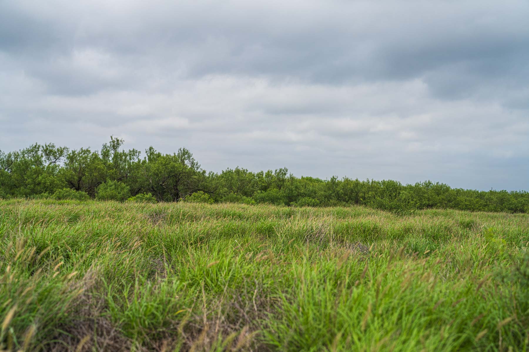 Dos Presas Ranch property picture 32 of 66