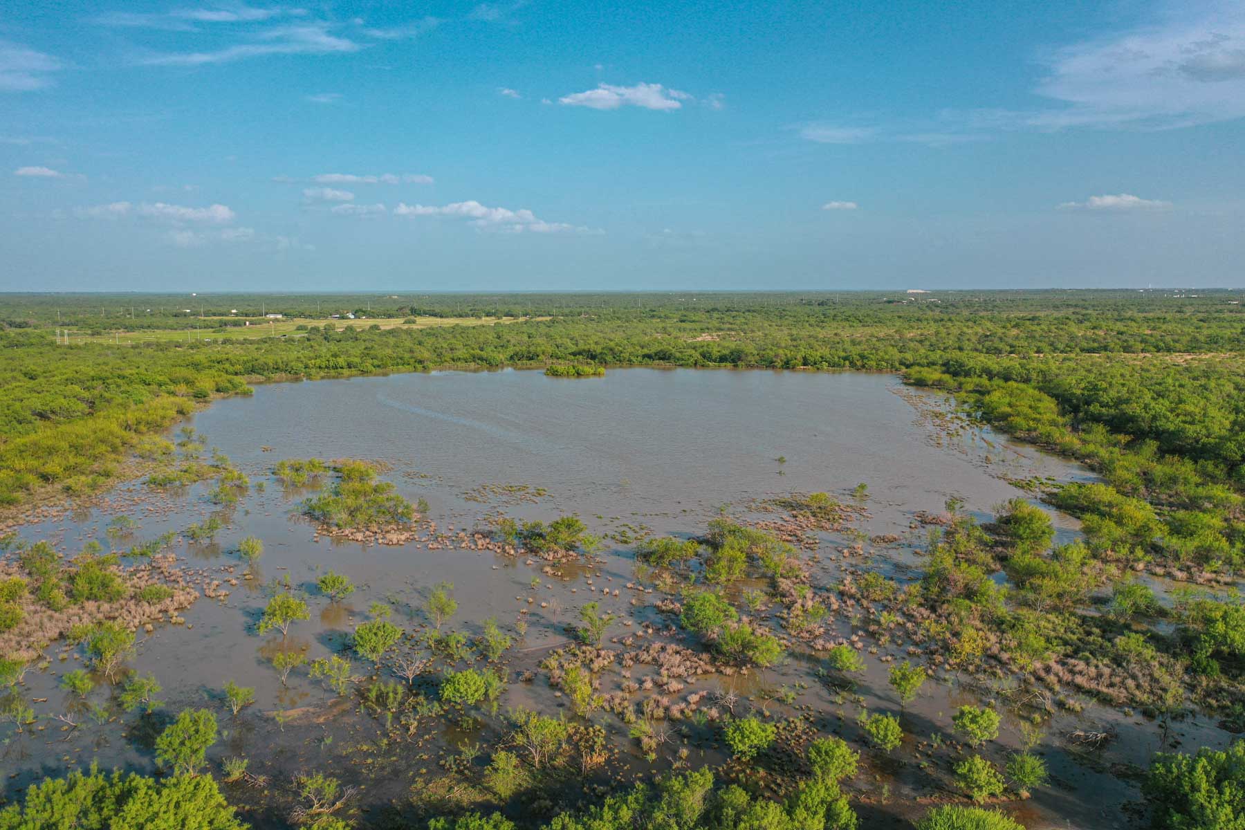 Dos Presas Ranch property picture 59 of 66