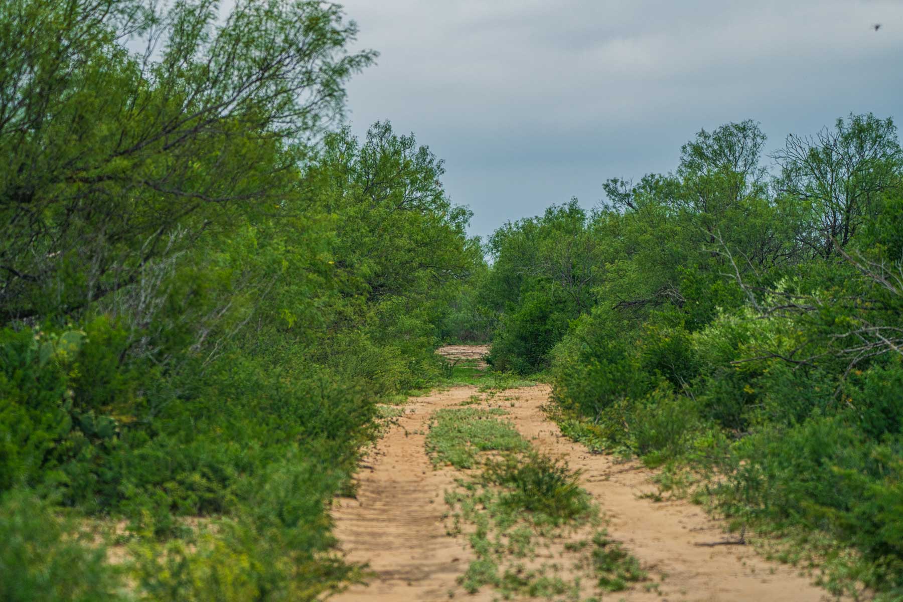 Dos Presas Ranch property picture 30 of 66