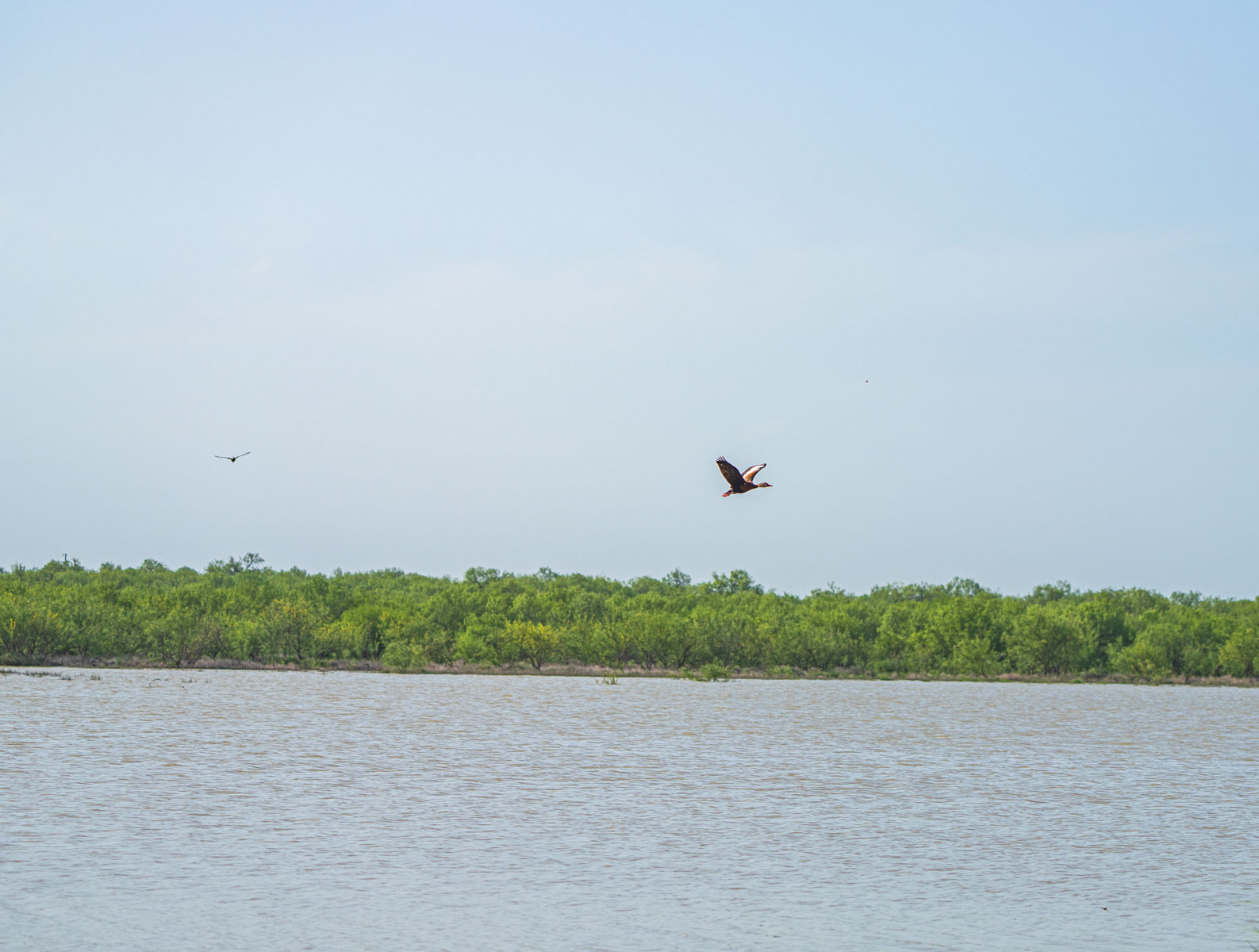 Dos Presas Ranch property picture 20 of 66