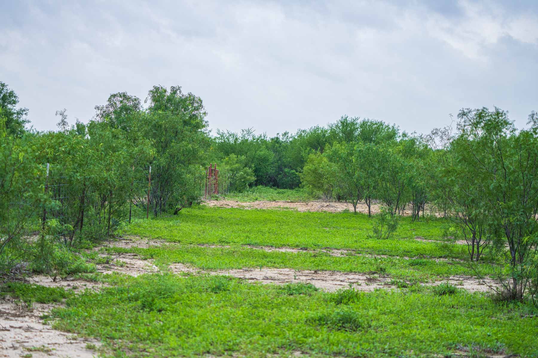 Dos Presas Ranch property picture 14 of 66