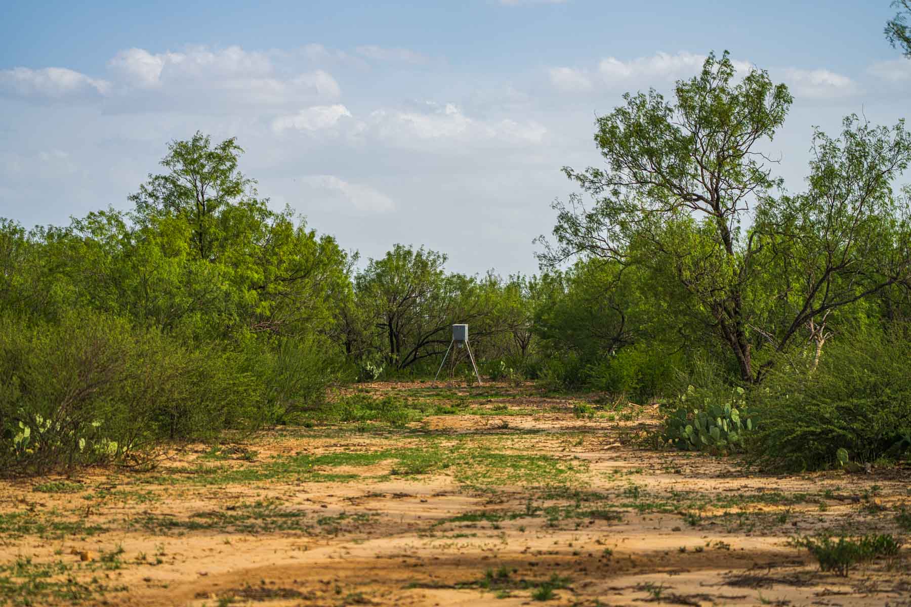 Dos Presas Ranch property picture 18 of 66
