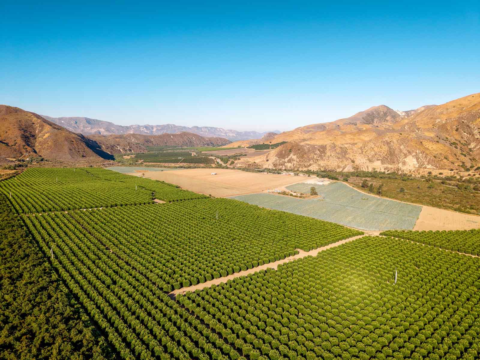 Rancho Temescal property picture 44 of 72