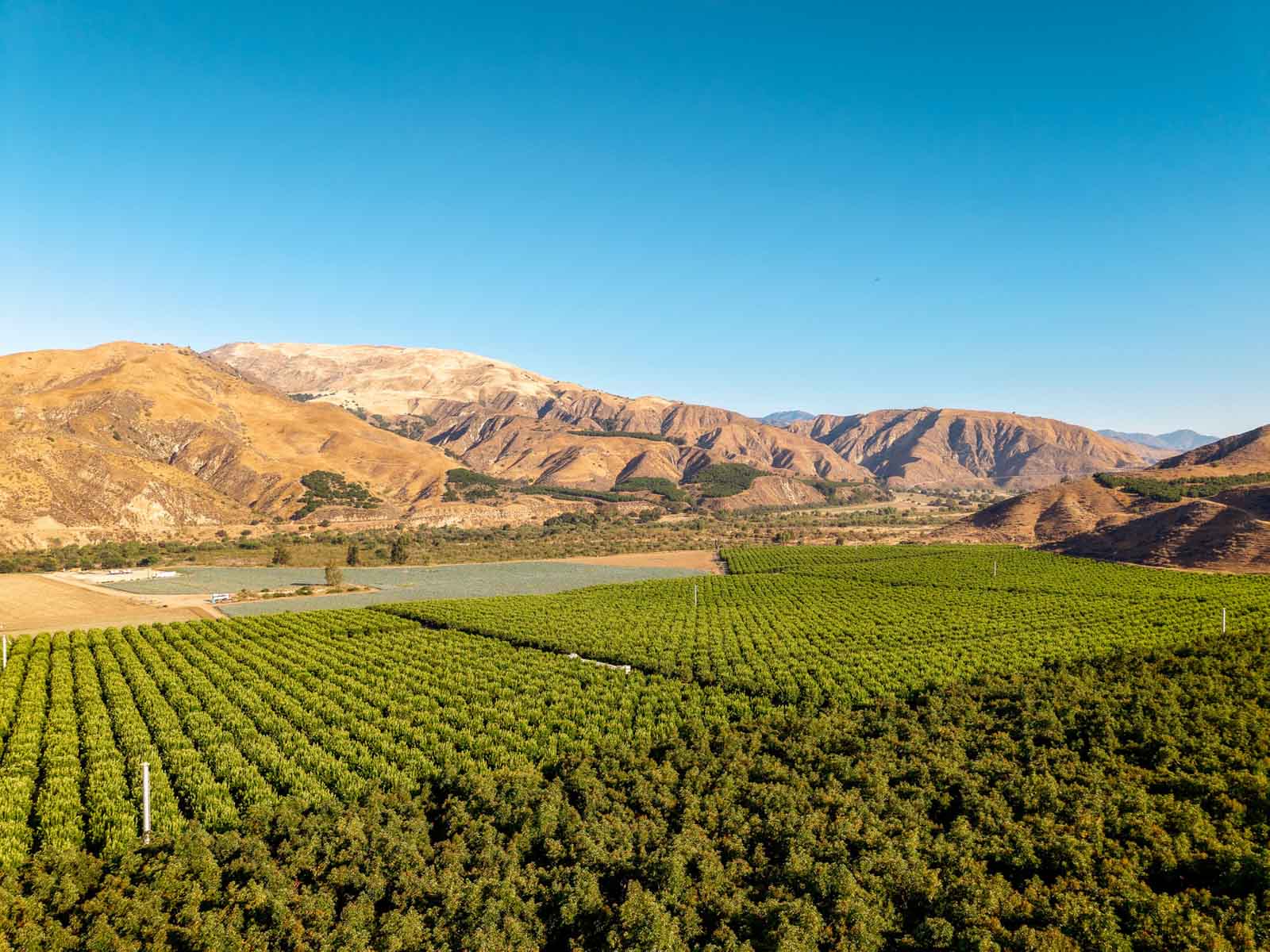 Rancho Temescal property picture 41 of 72