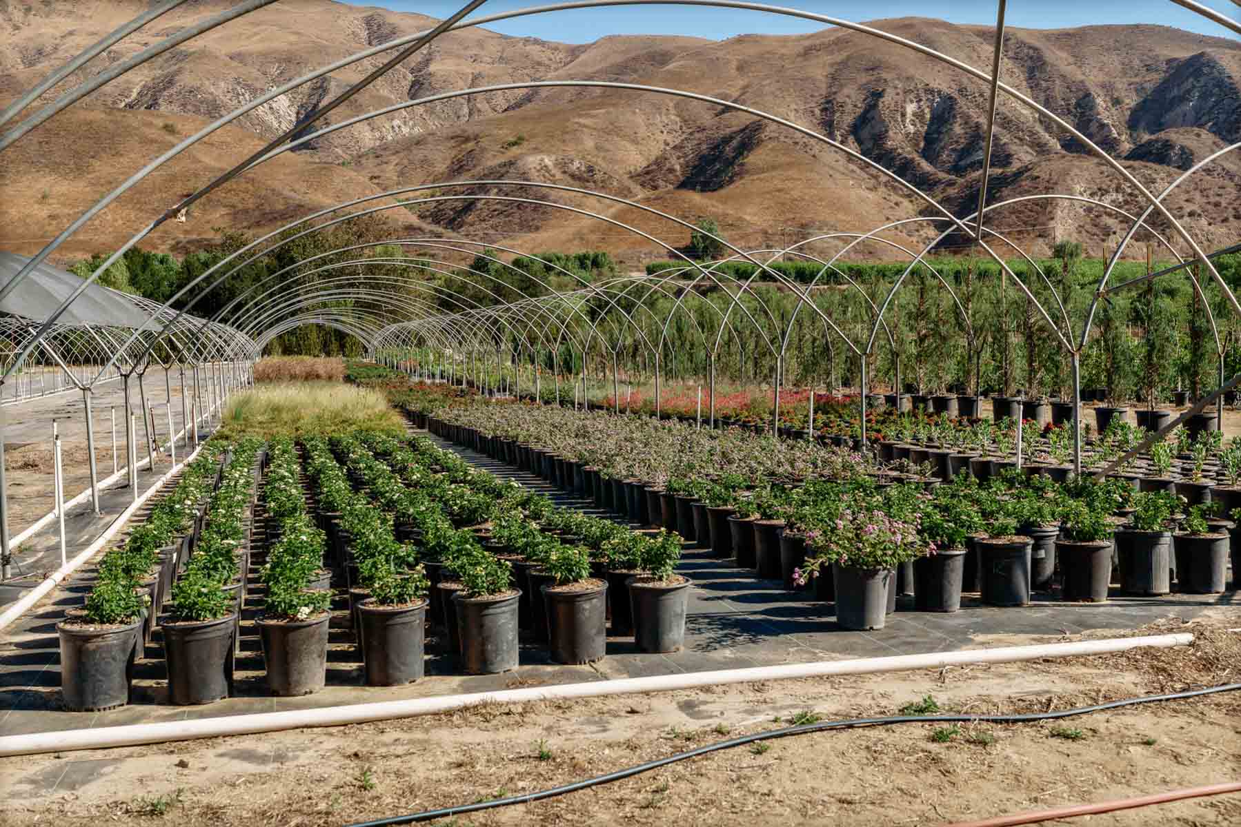 Rancho Temescal property picture 48 of 72