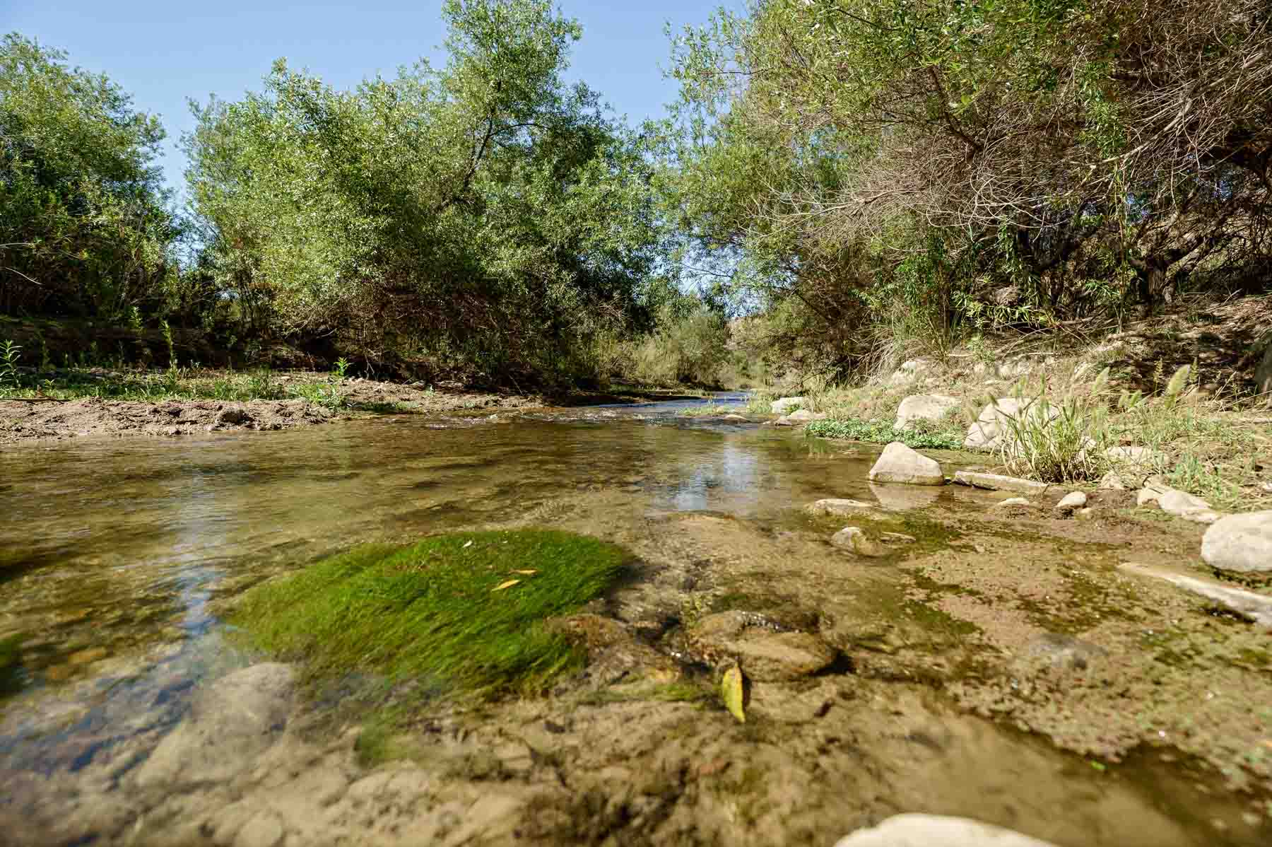Rancho Temescal property picture 68 of 72