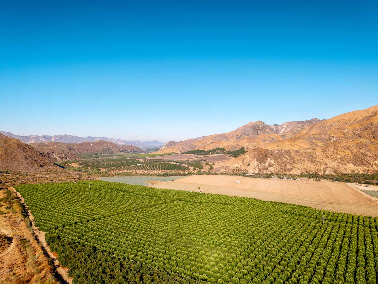 Rancho Temescal property picture 42 of 72