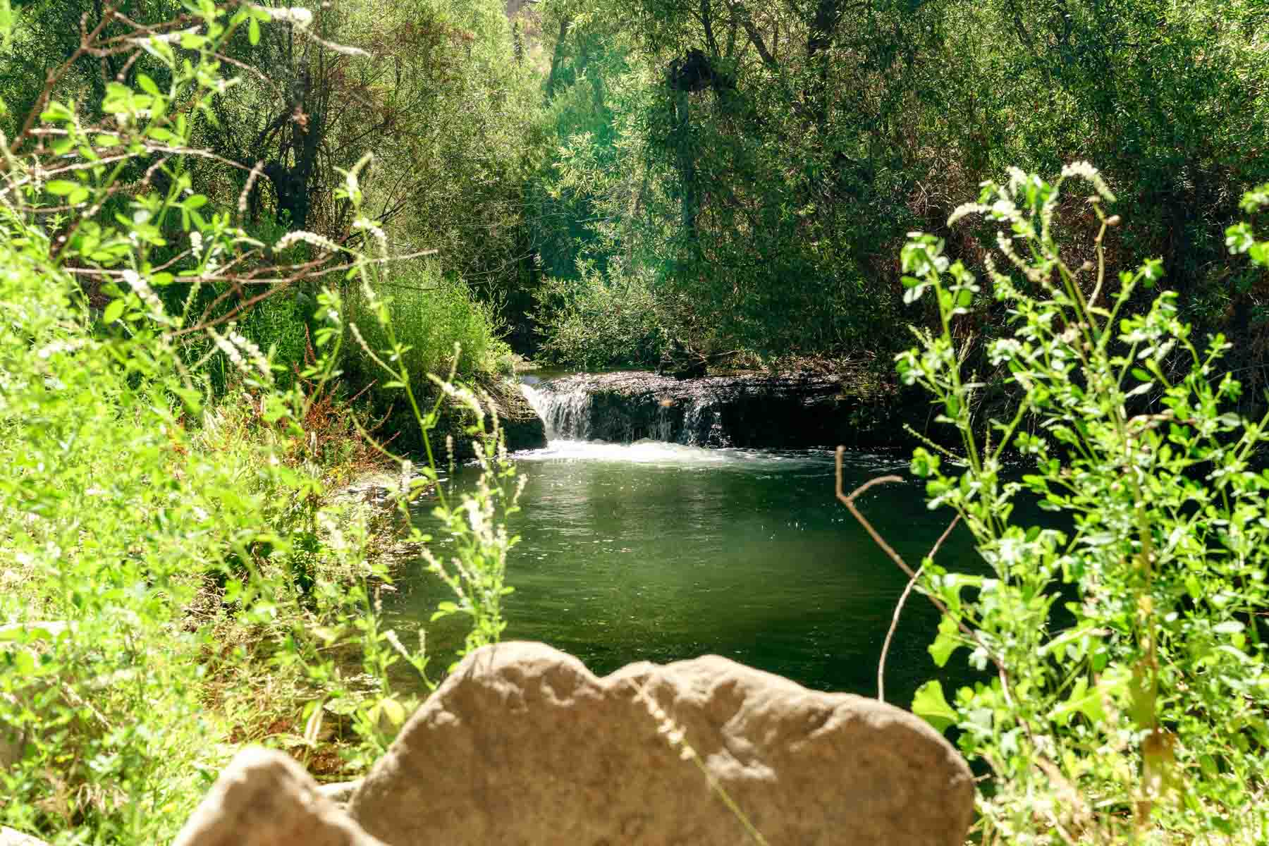 Rancho Temescal property picture 69 of 72