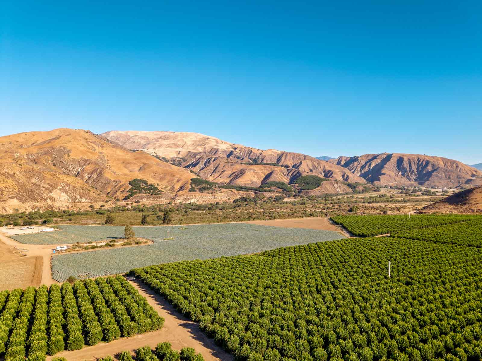 Rancho Temescal property picture 40 of 72