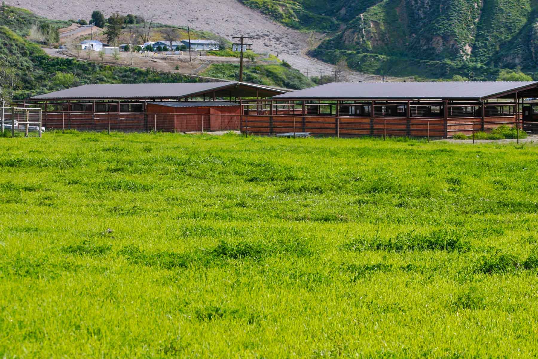 Rancho Temescal property picture 31 of 72