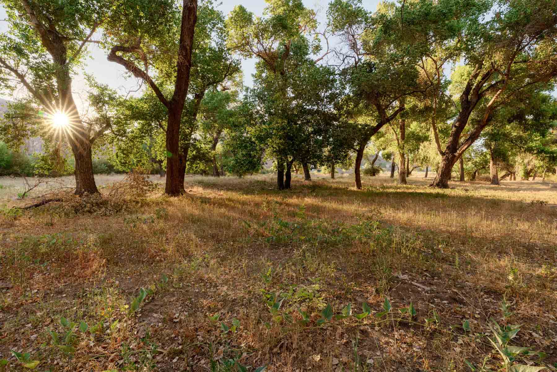 Rancho Temescal property picture 67 of 72