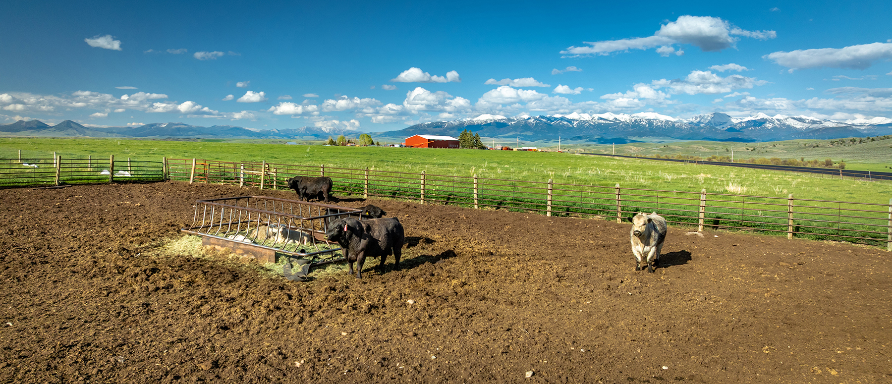 Muddy Creek Headquarters property picture 14 of 44