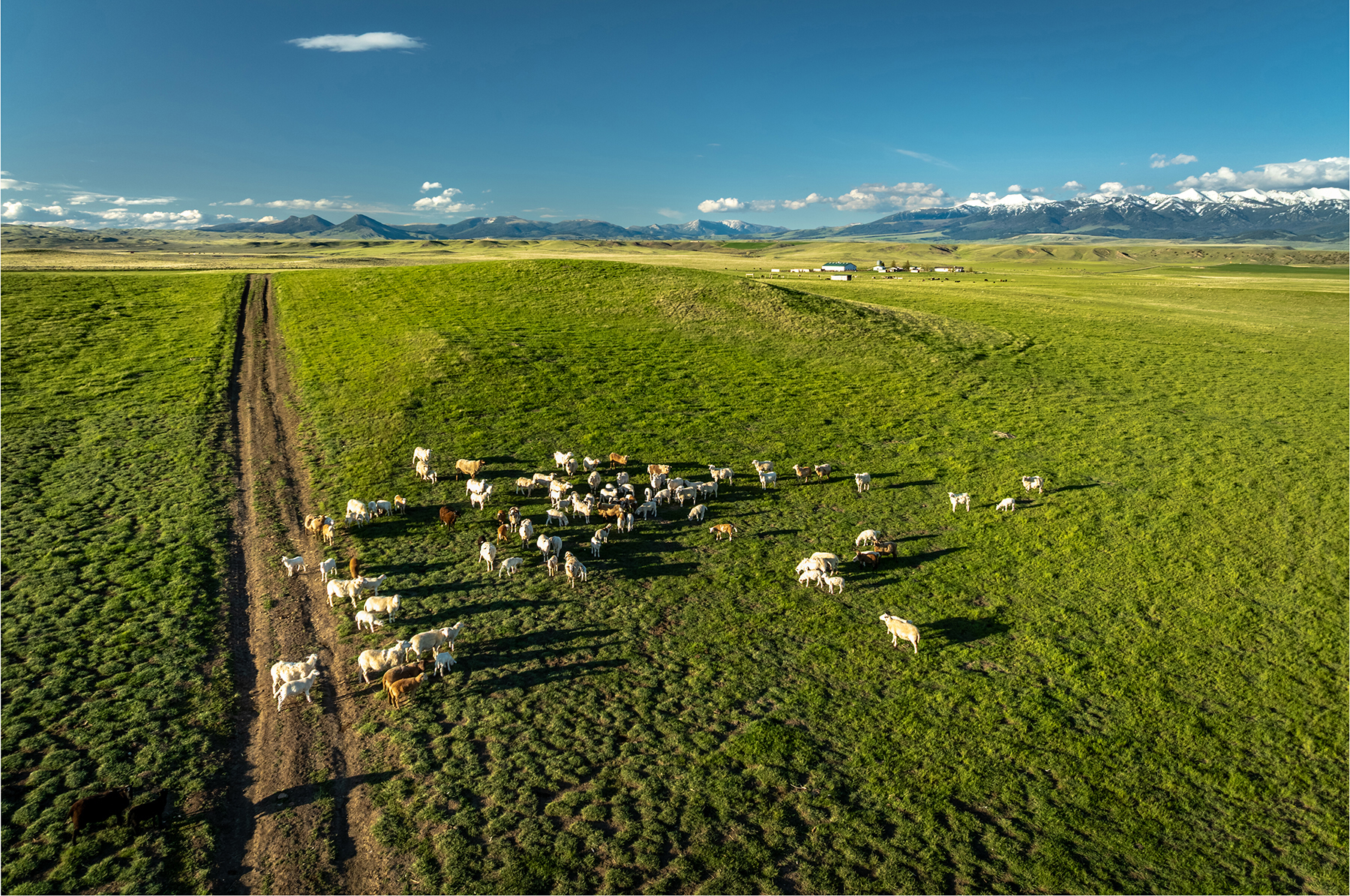 Muddy Creek Headquarters property picture 18 of 44