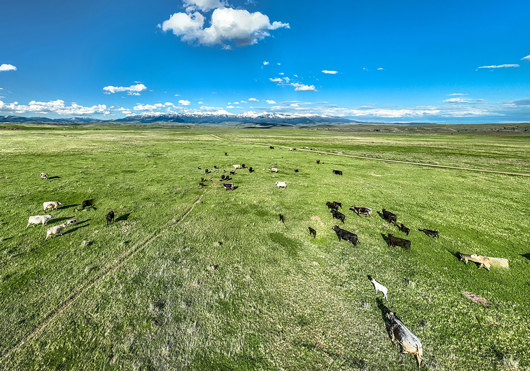 Muddy Creek Headquarters property picture 42 of 44