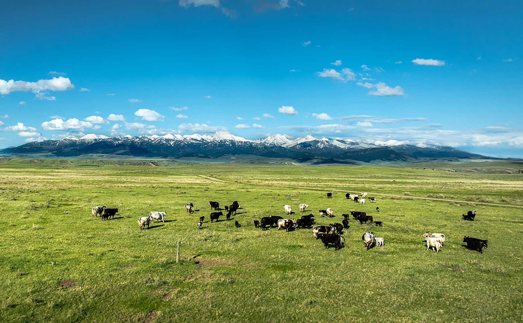 Muddy Creek Headquarters property picture 4 of 44