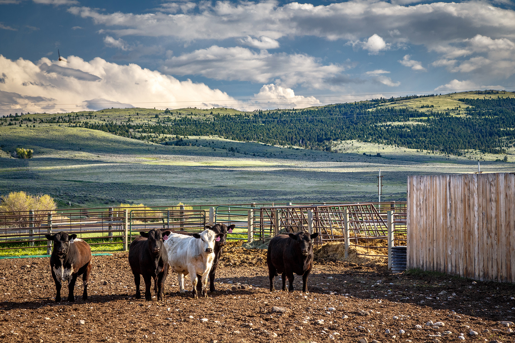 Muddy Creek Headquarters property picture 39 of 44