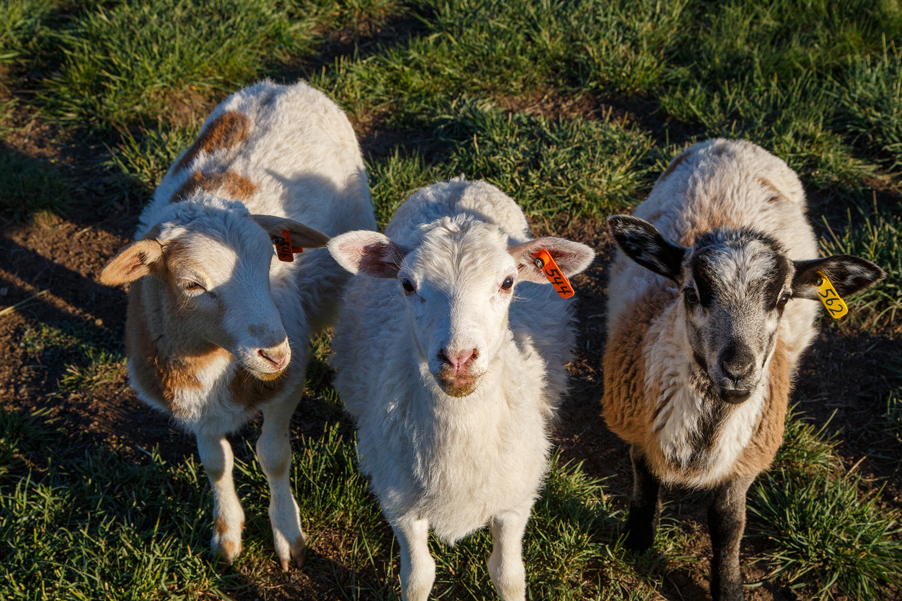 Muddy Creek Headquarters property picture 24 of 44