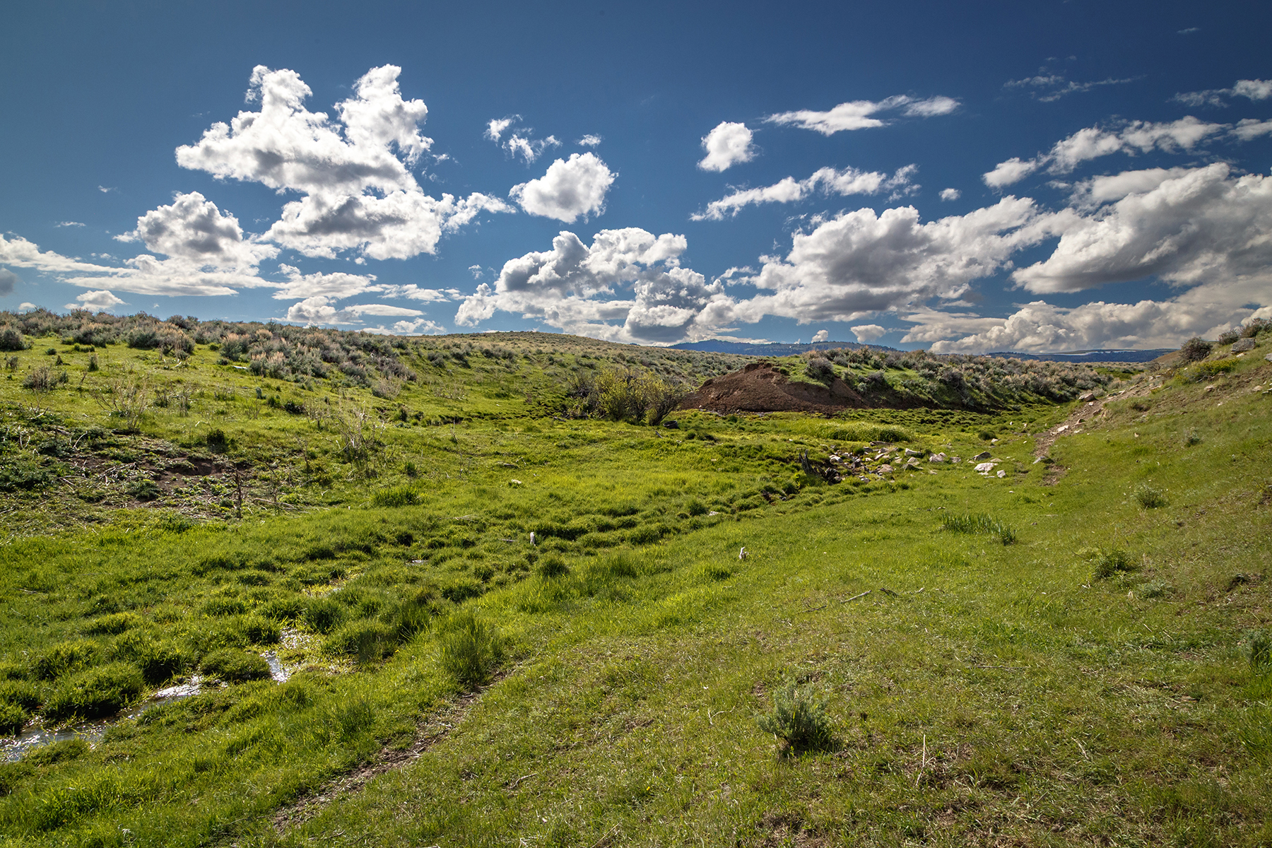 Muddy Creek Sedan Pasture property picture 15 of 19
