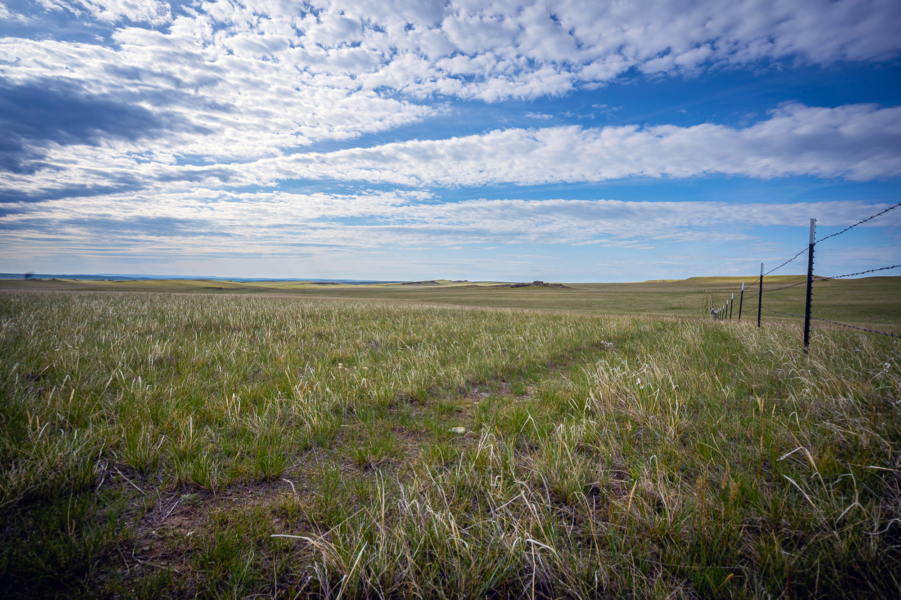 Machino Spring Ranch property picture 8 of 14