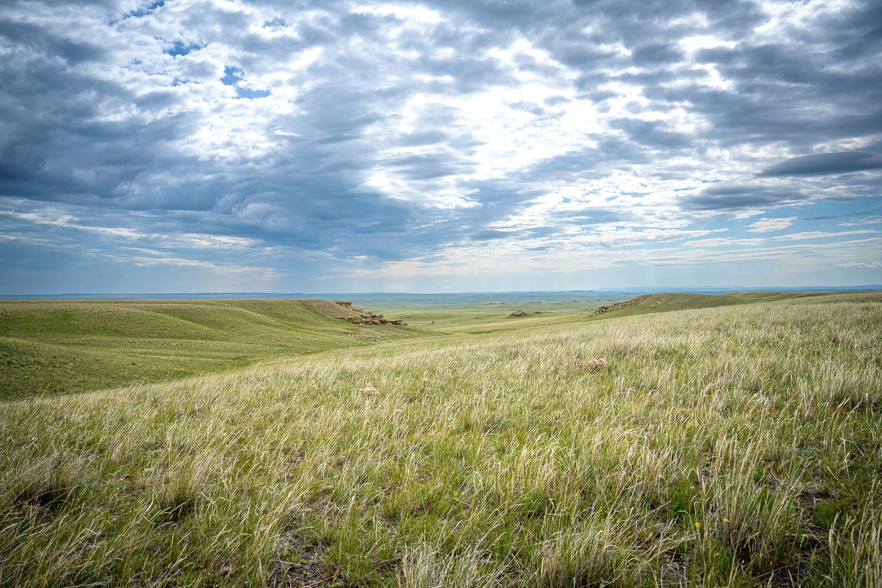Machino Spring Ranch property picture 11 of 14