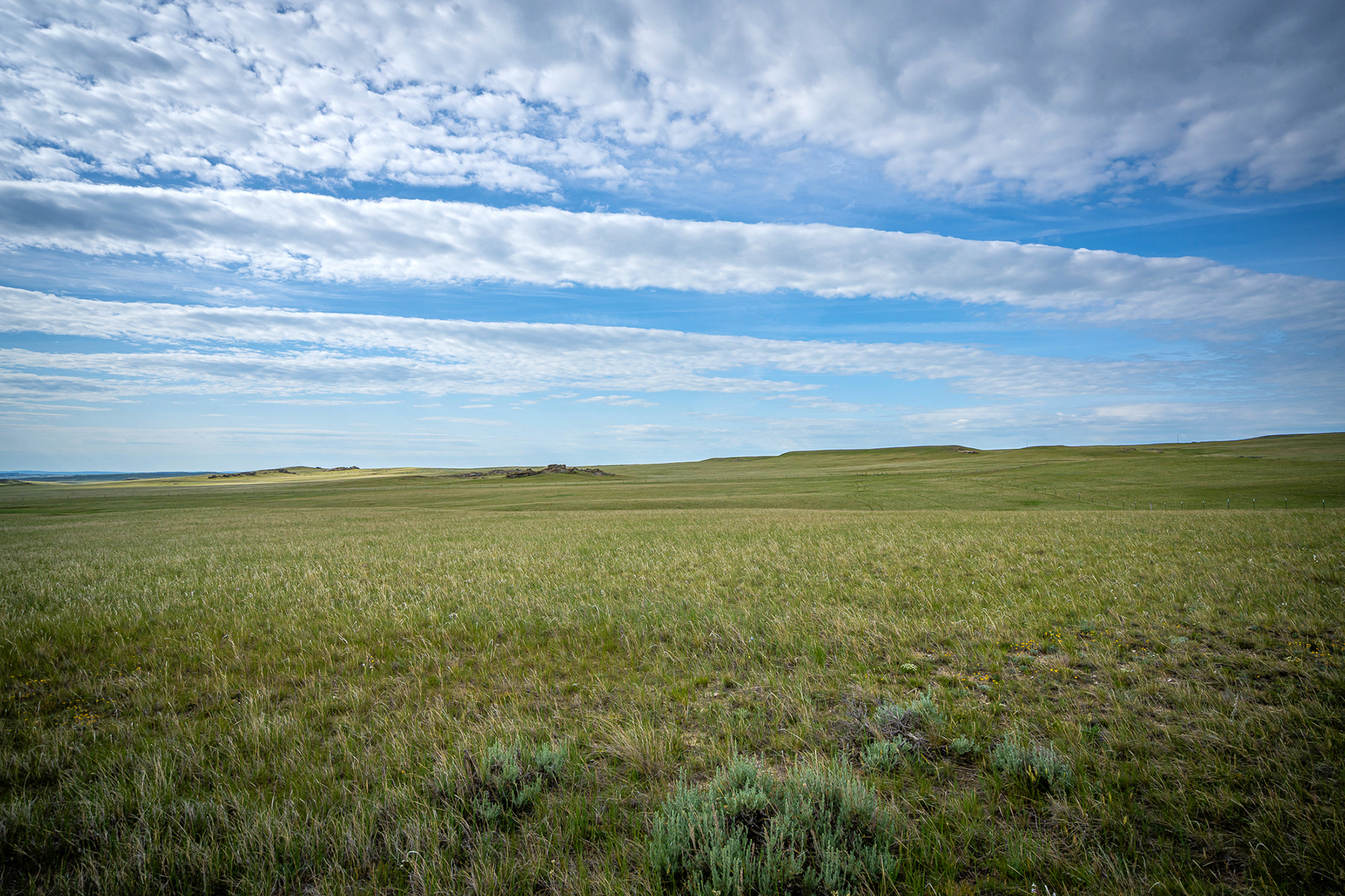 Machino Spring Ranch property picture 9 of 14