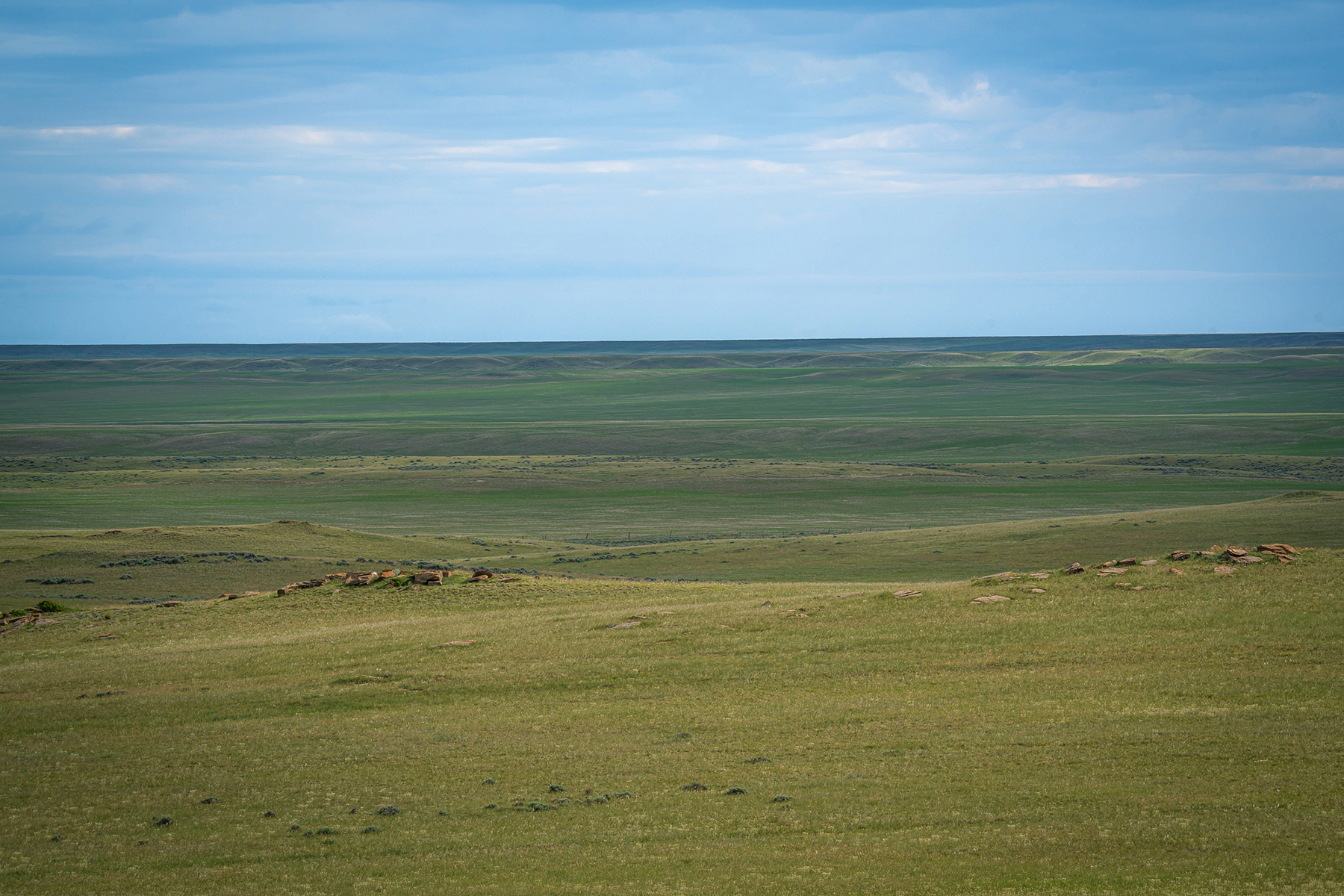 Machino Spring Ranch property picture 6 of 14