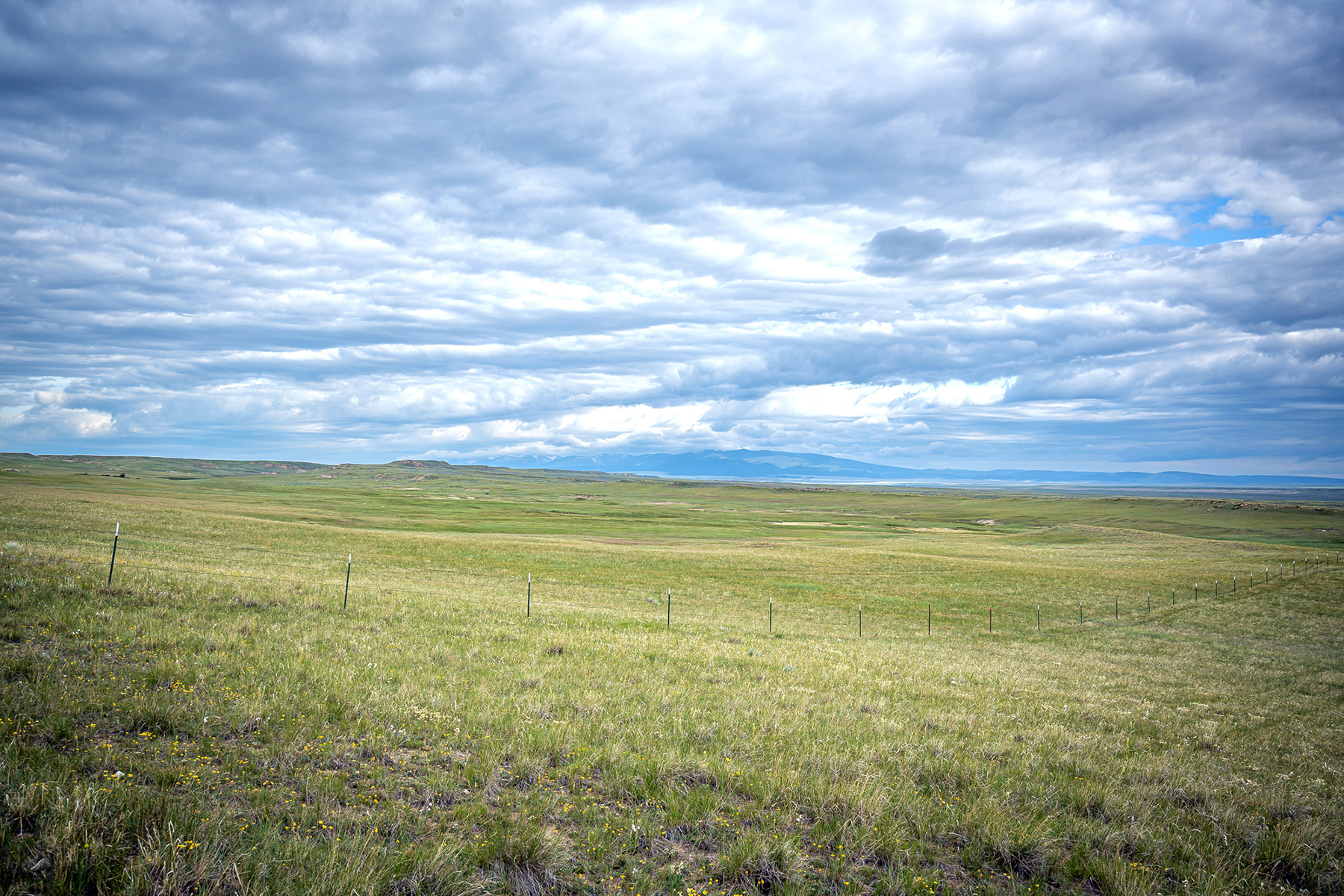 Machino Spring Ranch property picture 10 of 14