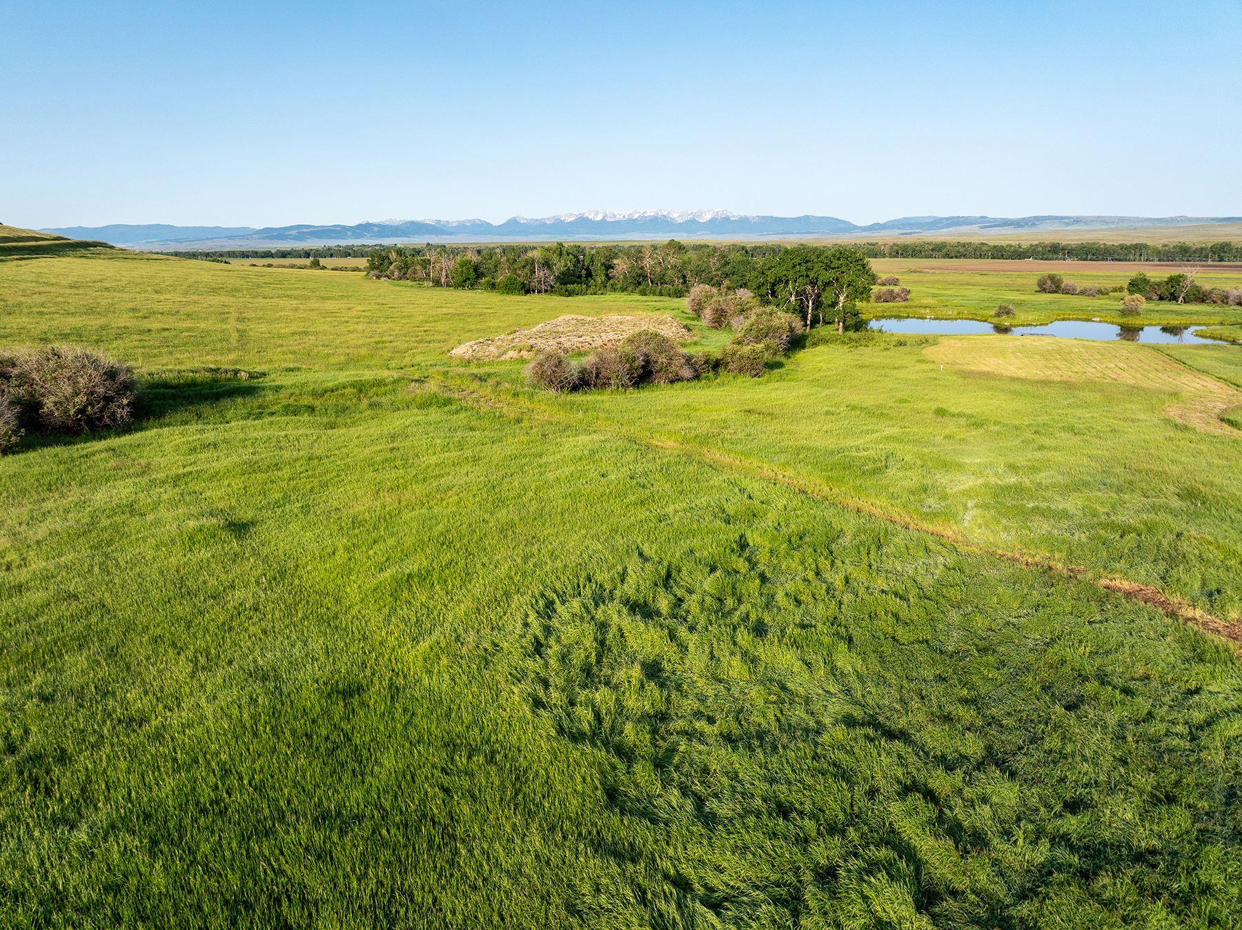 Porcupine Creek Homestead property picture 3 of 60