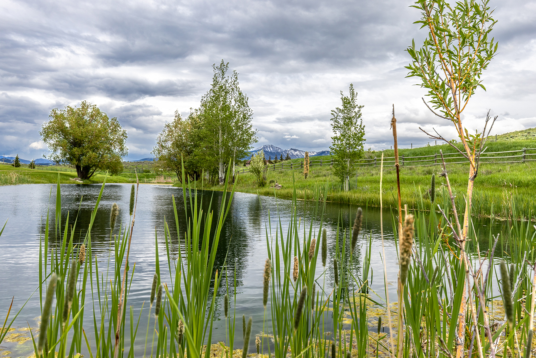 Porcupine Creek Homestead property picture 52 of 60