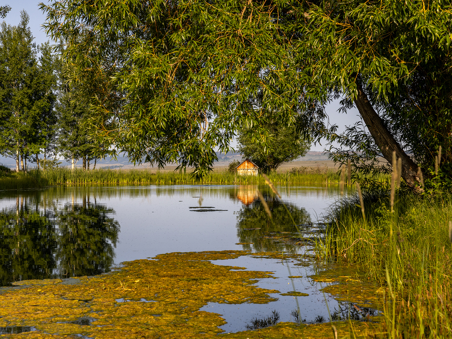 Porcupine Creek Homestead property picture 34 of 60