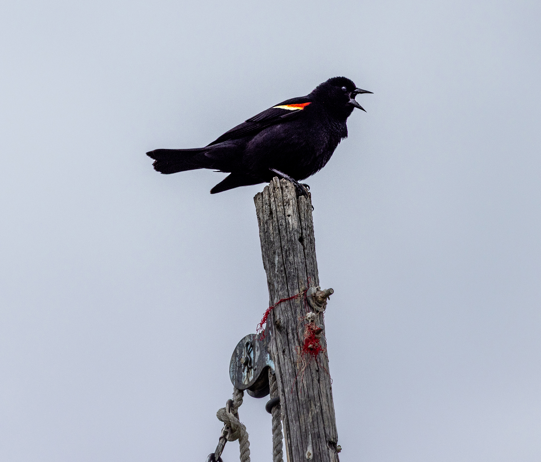 Porcupine Creek Homestead property picture 54 of 60