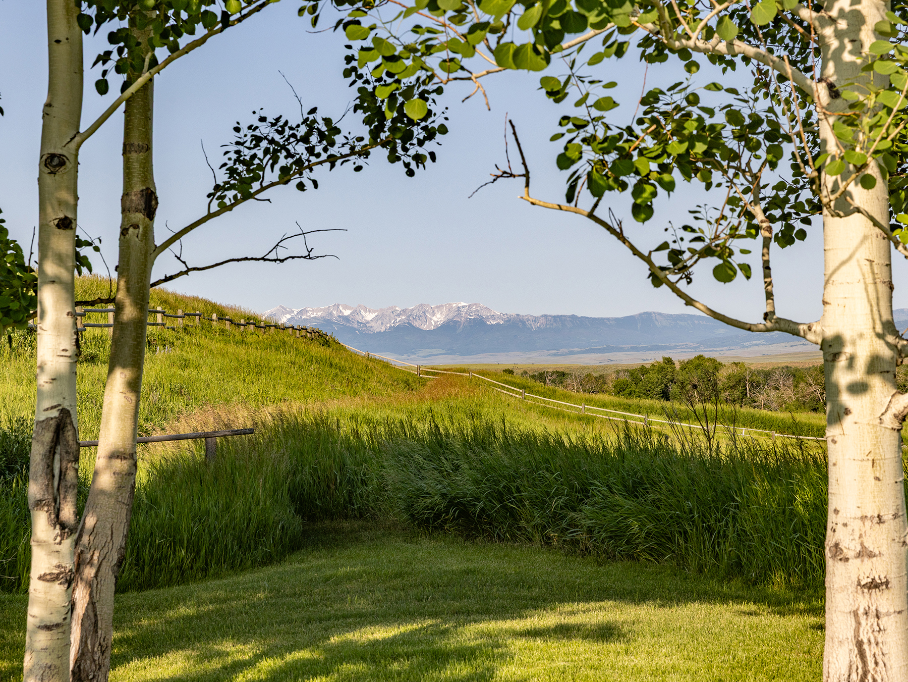 Porcupine Creek Homestead property picture 33 of 60