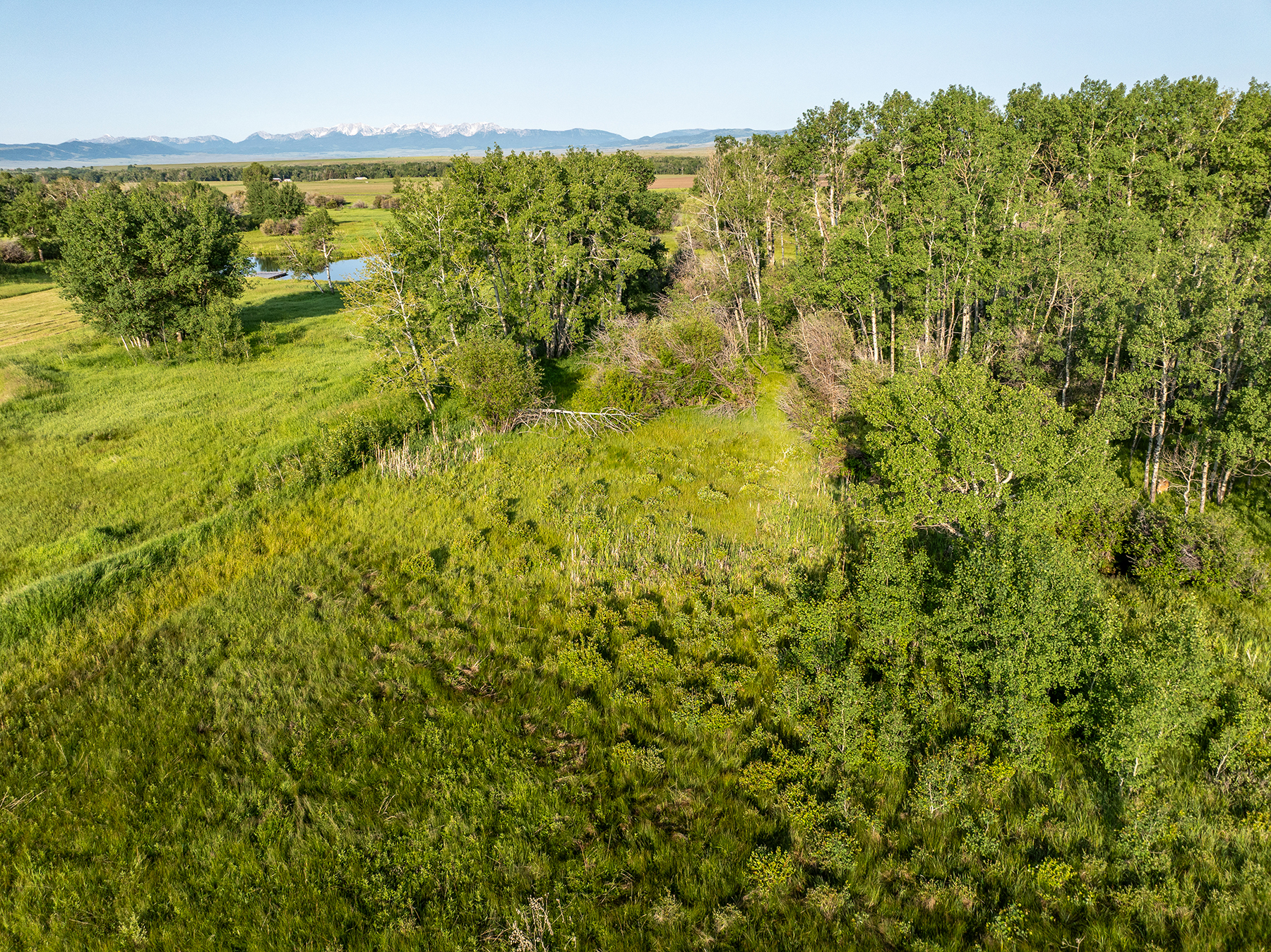 Porcupine Creek Homestead property picture 7 of 60