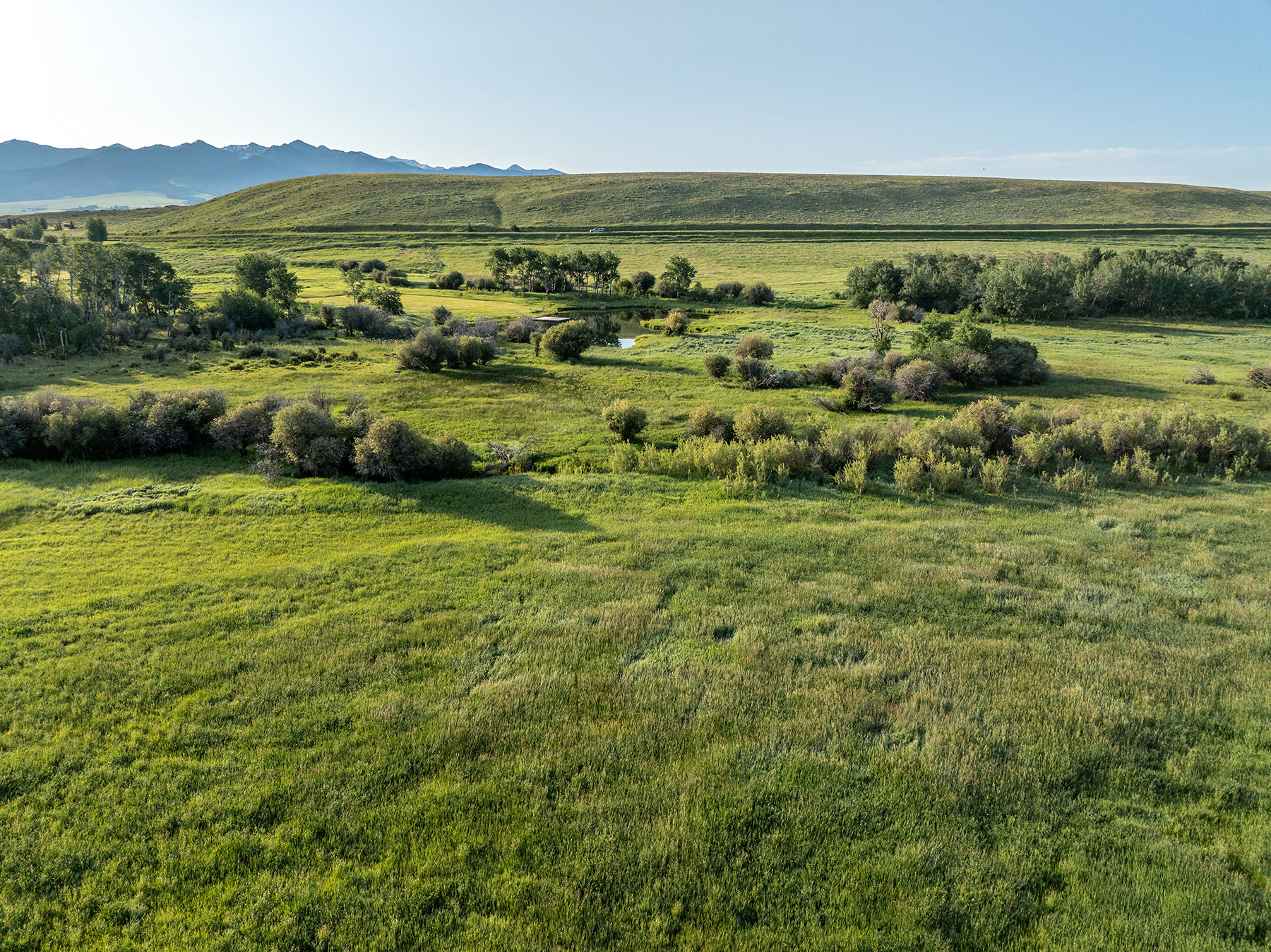 Porcupine Creek Homestead property picture 51 of 60
