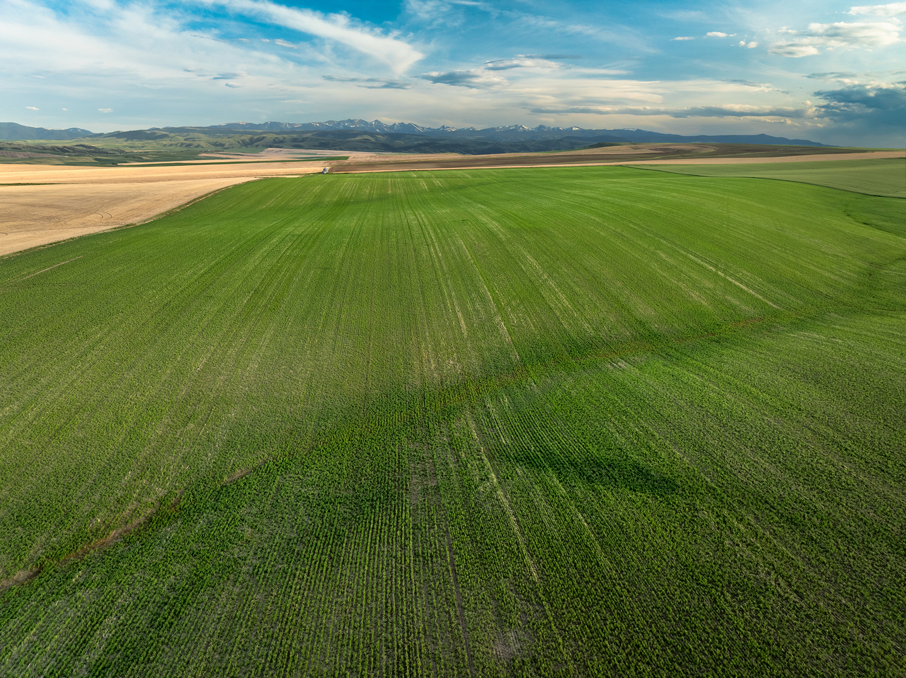 Amsterdam 1,100± Acre Farm property picture 12 of 34