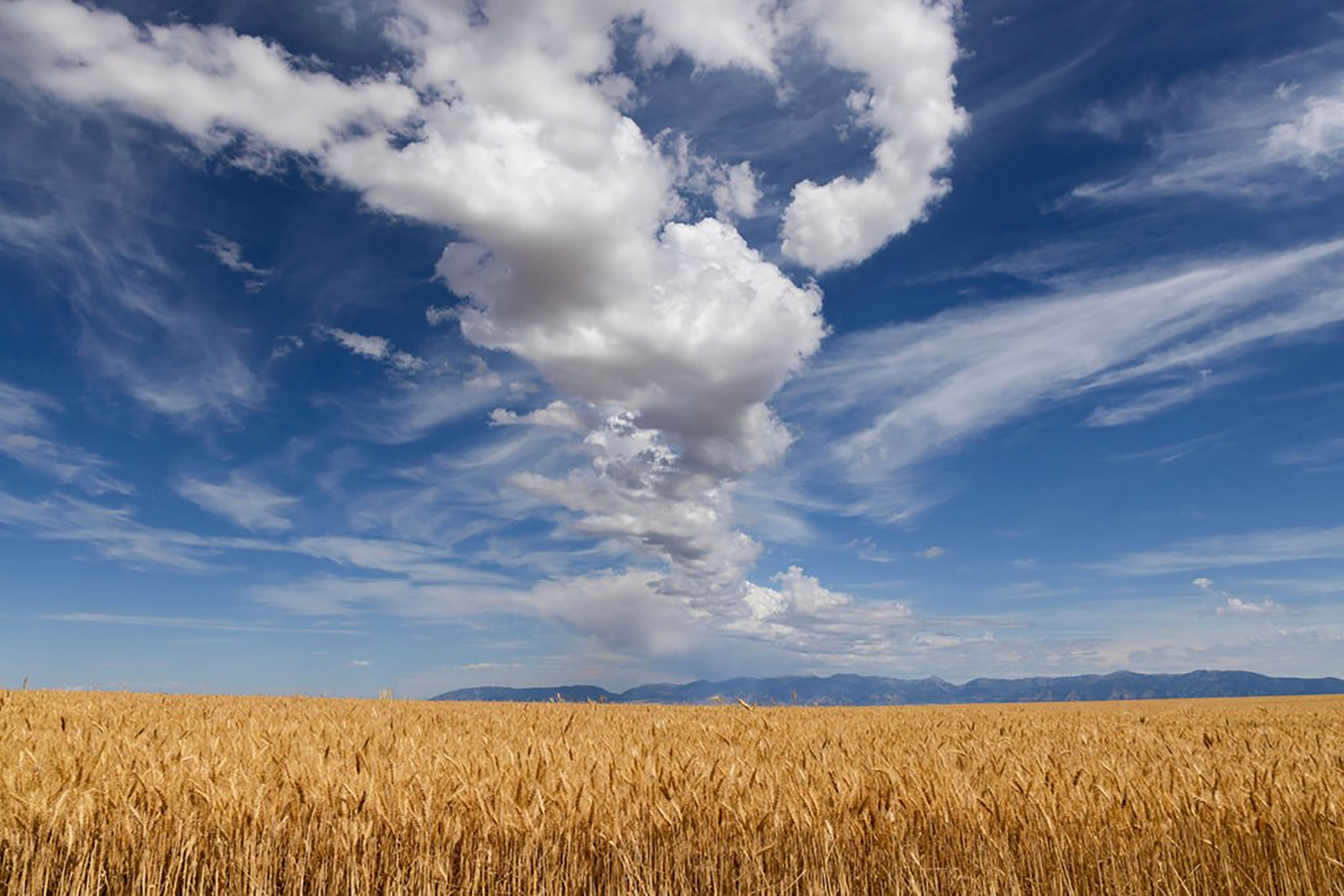 Amsterdam 1,100± Acre Farm property picture 16 of 34