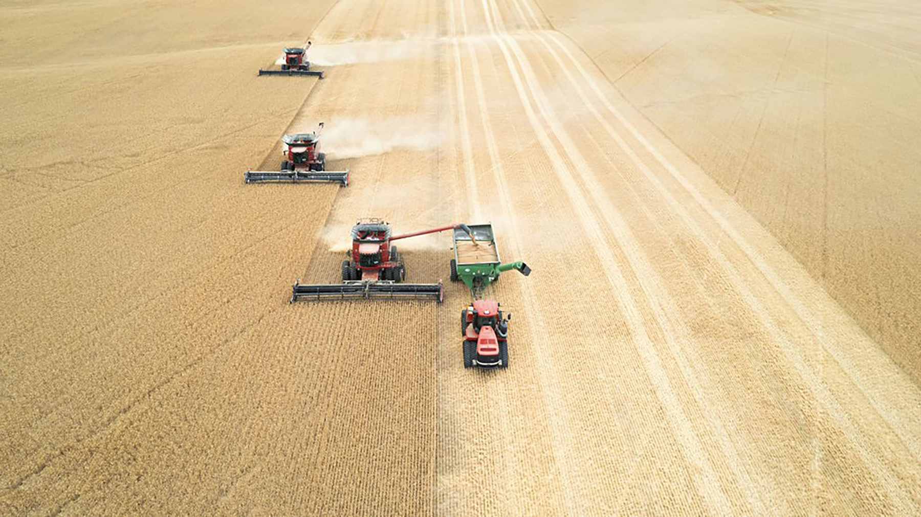 Amsterdam 1,100± Acre Farm property picture 29 of 34