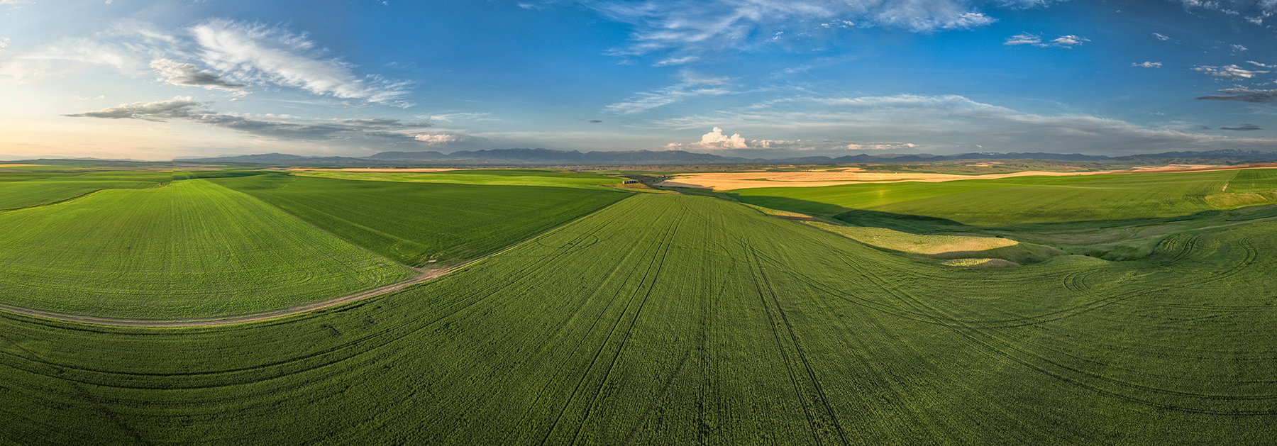 Amsterdam 1,100± Acre Farm property picture 30 of 34