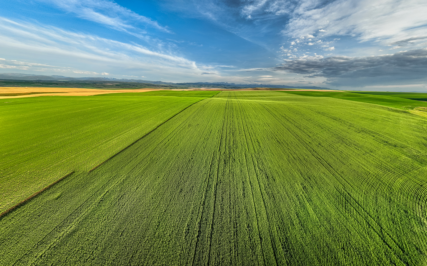 Amsterdam 1,100± Acre Farm property picture 5 of 34