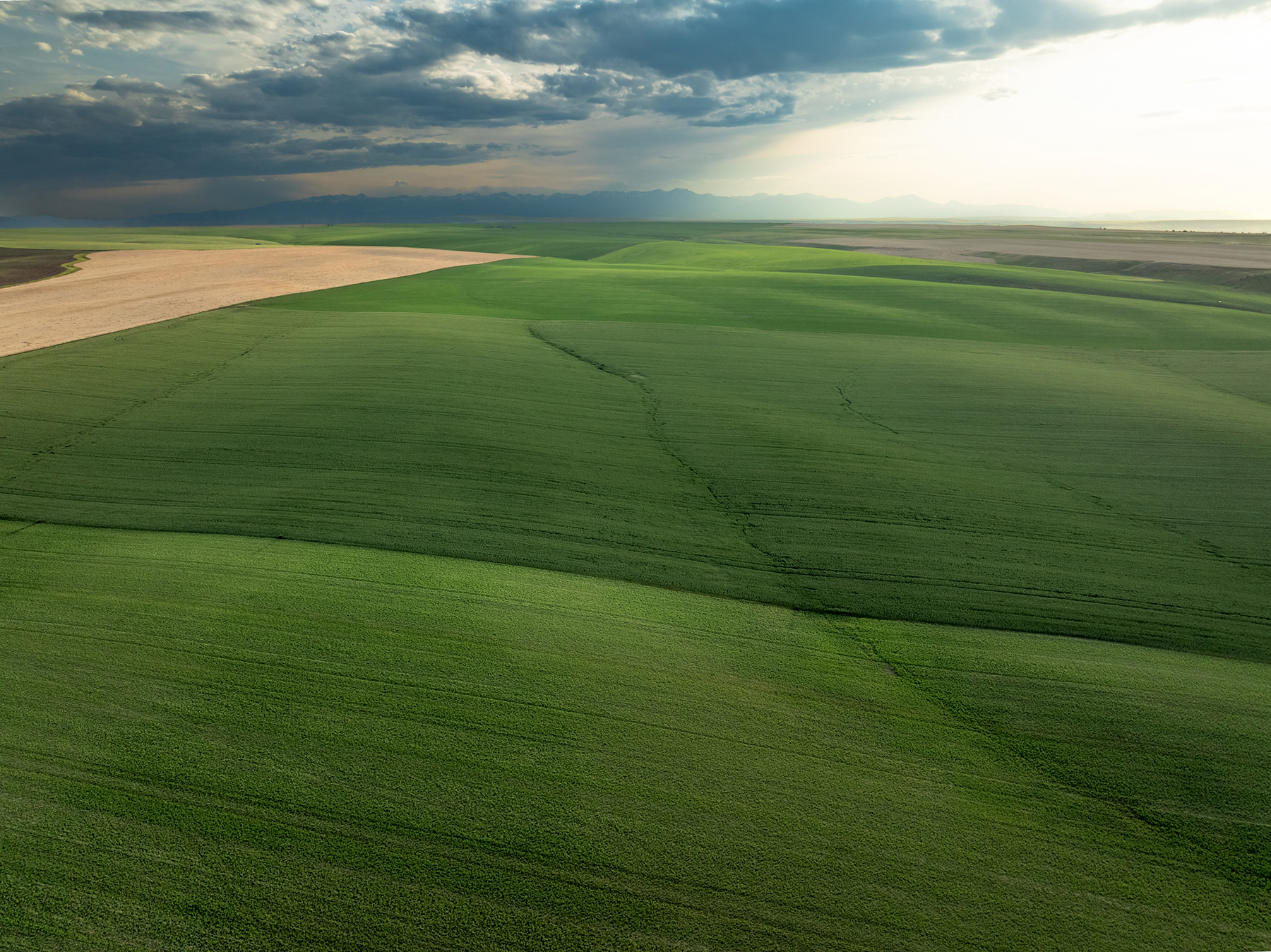 Amsterdam 1,100± Acre Farm property picture 19 of 34