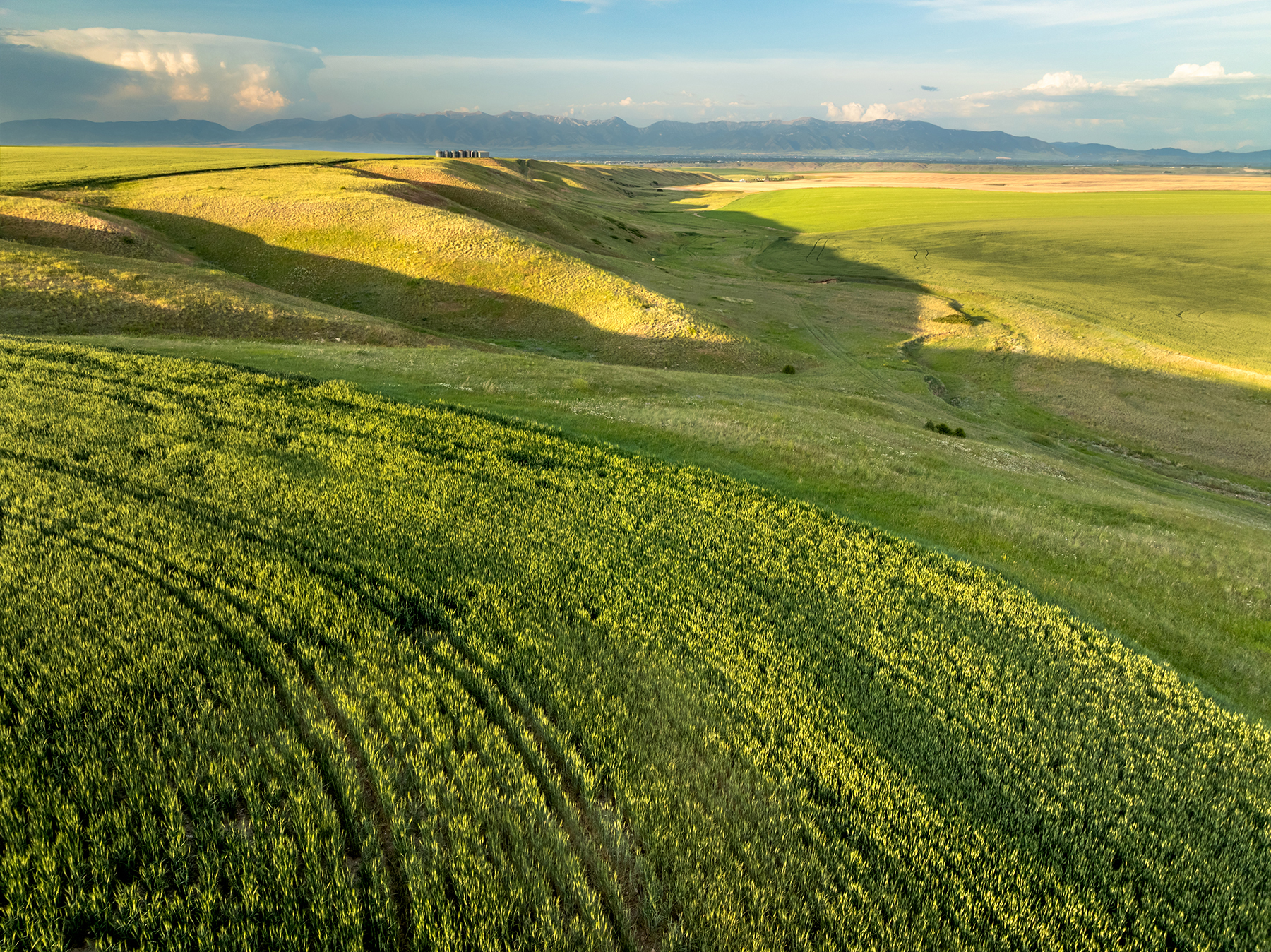 Amsterdam 1,100± Acre Farm property picture 13 of 34