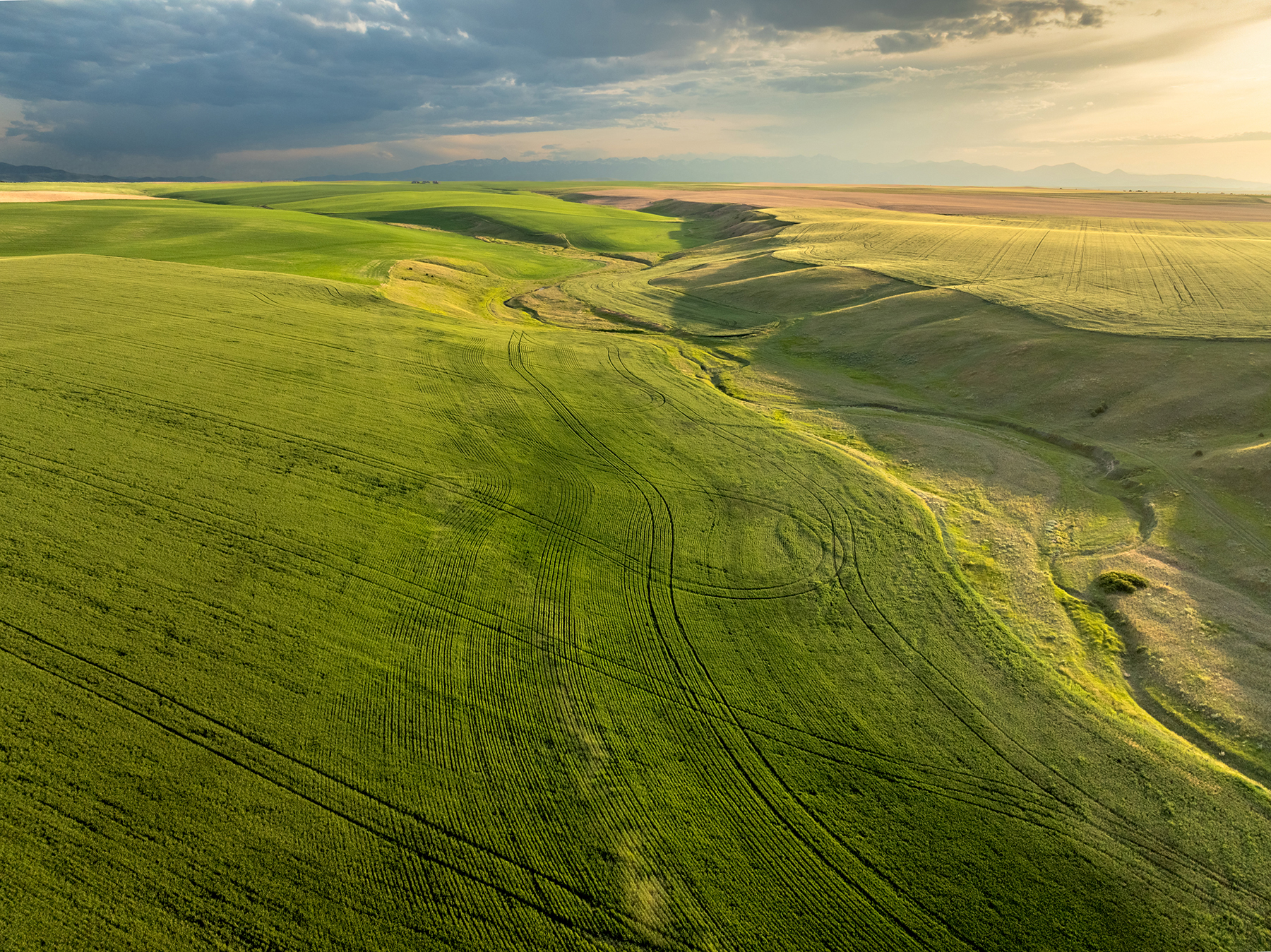Amsterdam 1,100± Acre Farm property picture 22 of 34