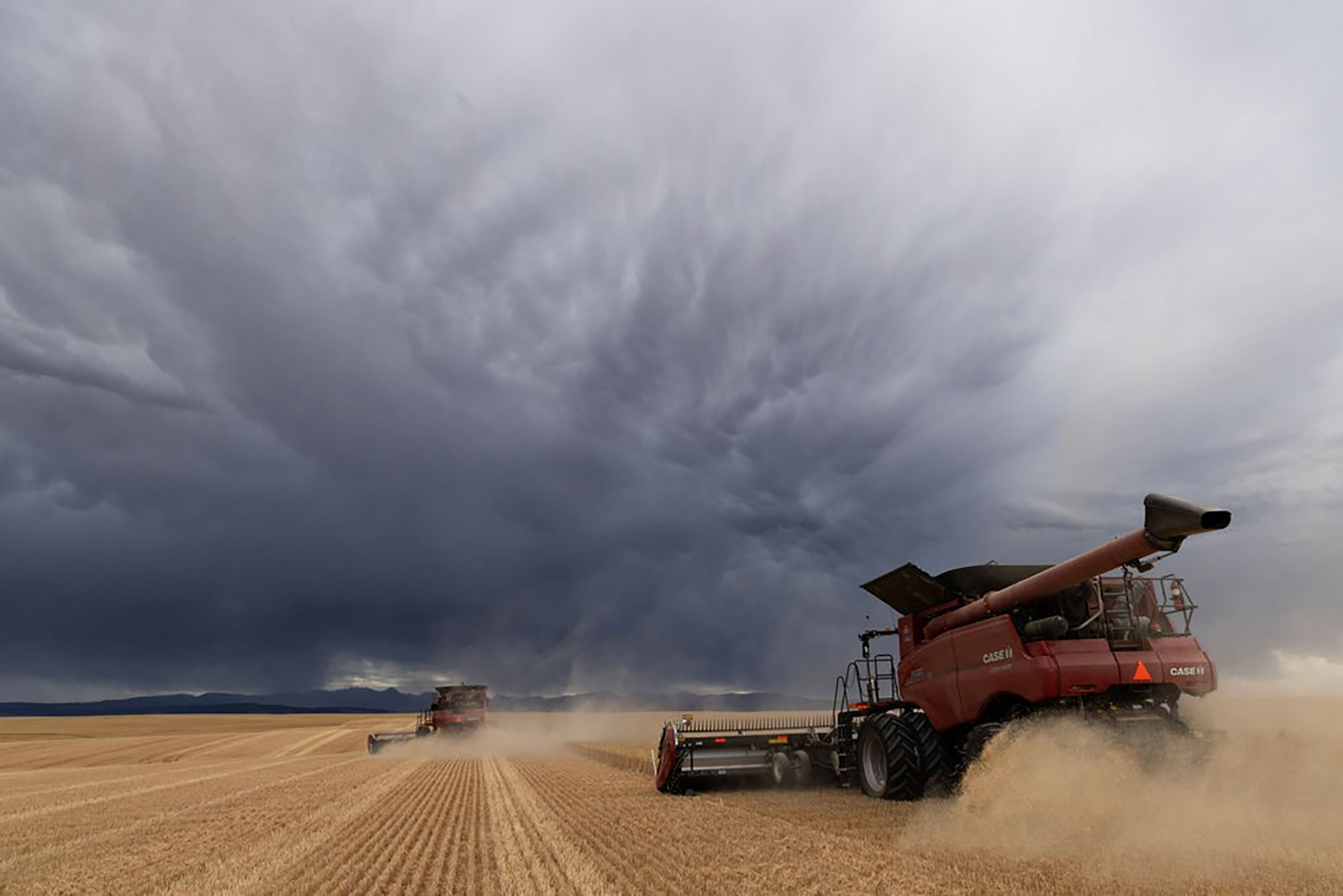 Amsterdam 1,100± Acre Farm property picture 21 of 34