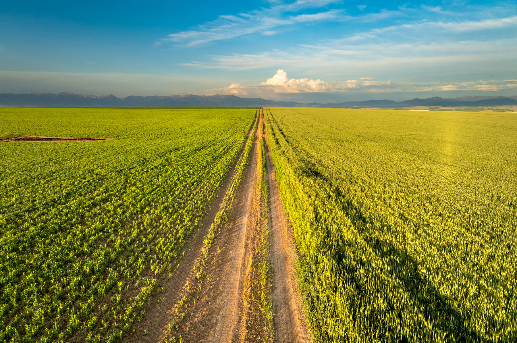Amsterdam 1,100± Acre Farm property picture 15 of 34
